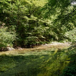 Photos vacances 2025 du best